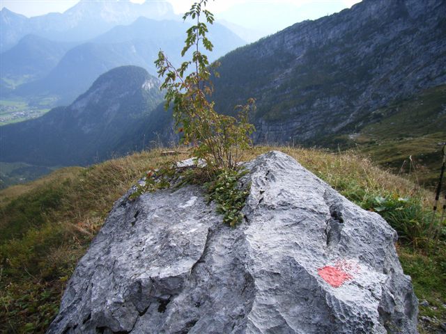 R0013330.JPG