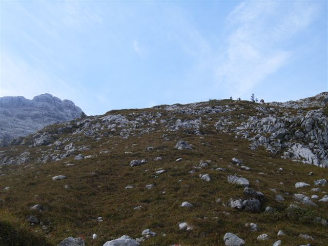 R0013332.JPG