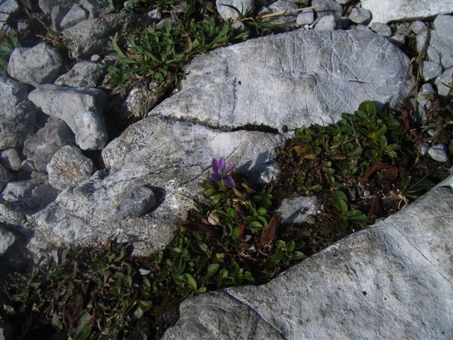 R0013341.JPG