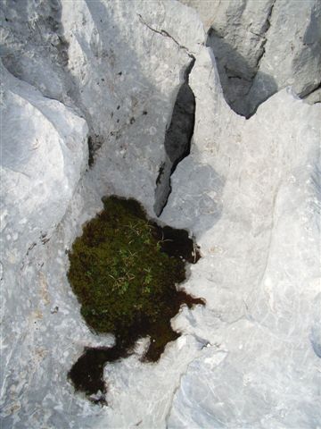 R0013348.JPG