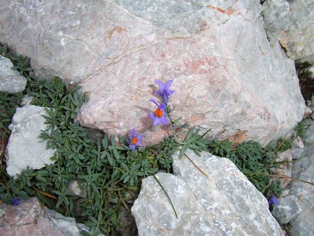 R0013350.JPG