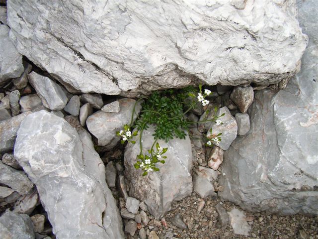 R0013352.JPG