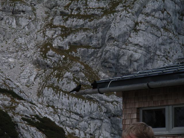 R0013360.JPG