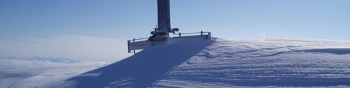Am Hochzint in "Nachbars Garten"