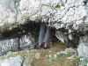 Im meist feuchten Durchschlupf der 26.SL